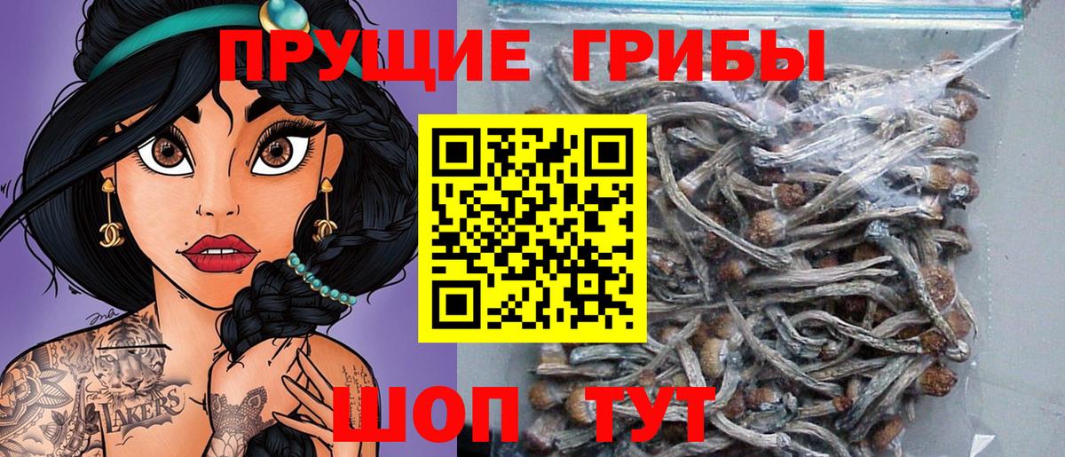 Чита  Галлюциногенные грибы мицелий  Вход с VPN  Галлюциногенные грибы Psilocybe 
