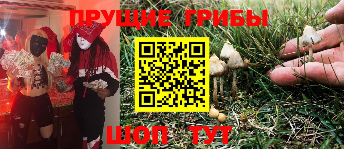 Псилоцибиновые грибы мицелий Чита
